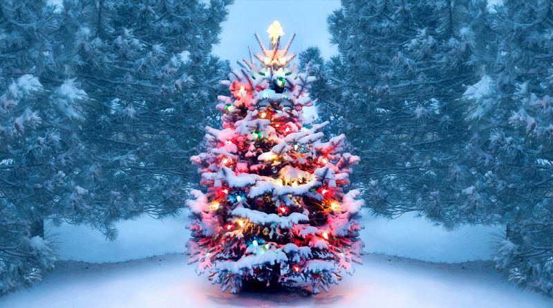 Tree: pvllsf8kvag = Christmas: The Iconic Symbol of the Holiday Season